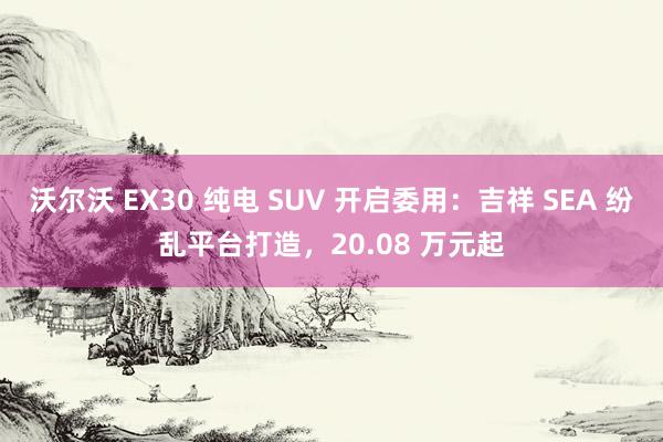 沃尔沃 EX30 纯电 SUV 开启委用：吉祥 SEA 纷乱平台打造，20.08 万元起