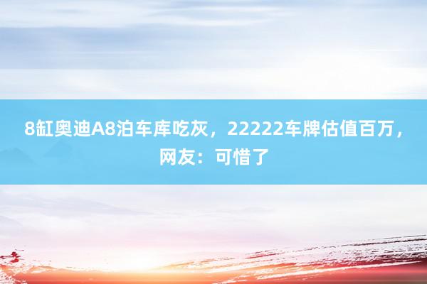 8缸奥迪A8泊车库吃灰，22222车牌估值百万，网友：可惜了