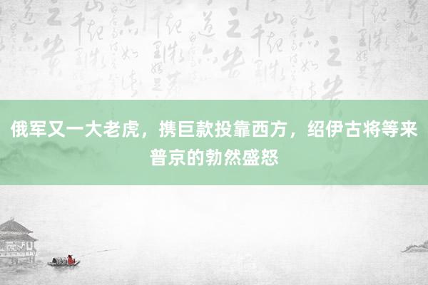 俄军又一大老虎，携巨款投靠西方，绍伊古将等来普京的勃然盛怒