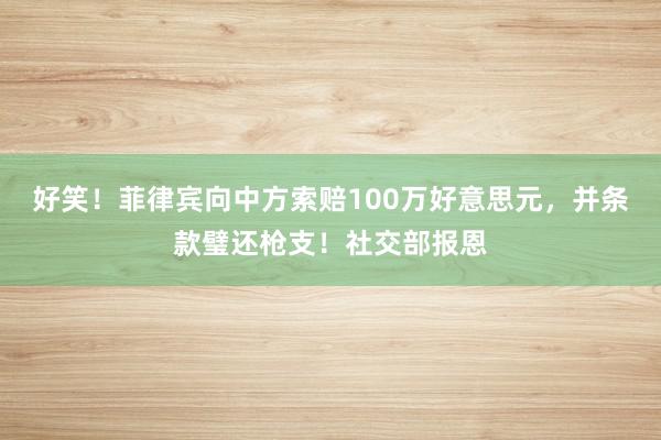 好笑！菲律宾向中方索赔100万好意思元，并条款璧还枪支！社交部报恩