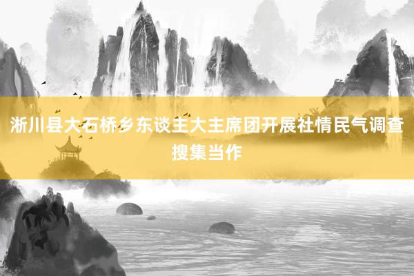 淅川县大石桥乡东谈主大主席团开展社情民气调查搜集当作