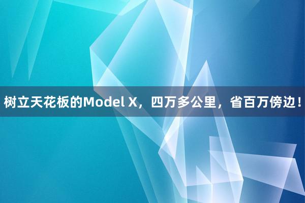 树立天花板的Model X，四万多公里，省百万傍边！