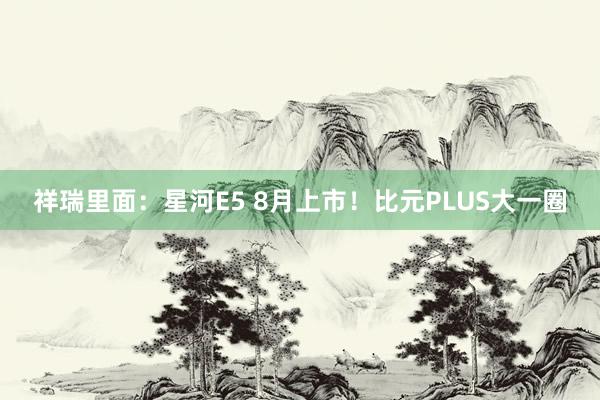 祥瑞里面：星河E5 8月上市！比元PLUS大一圈