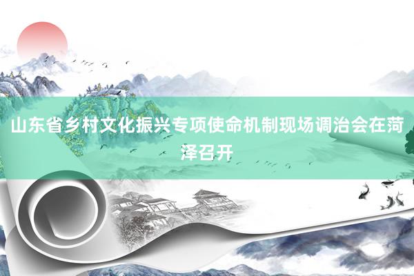 山东省乡村文化振兴专项使命机制现场调治会在菏泽召开