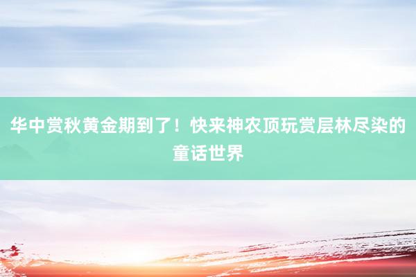 华中赏秋黄金期到了！快来神农顶玩赏层林尽染的童话世界