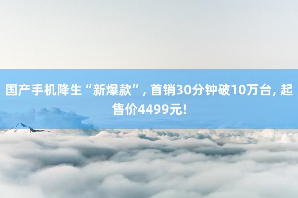 国产手机降生“新爆款”, 首销30分钟破10万台, 起售价4499元!